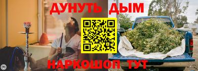 a pvp Камышлов