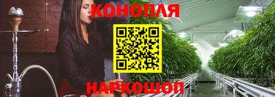 a pvp Камышлов