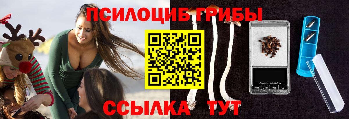 Псилоцибиновые грибы Psilocybine cubensis Красноуфимск