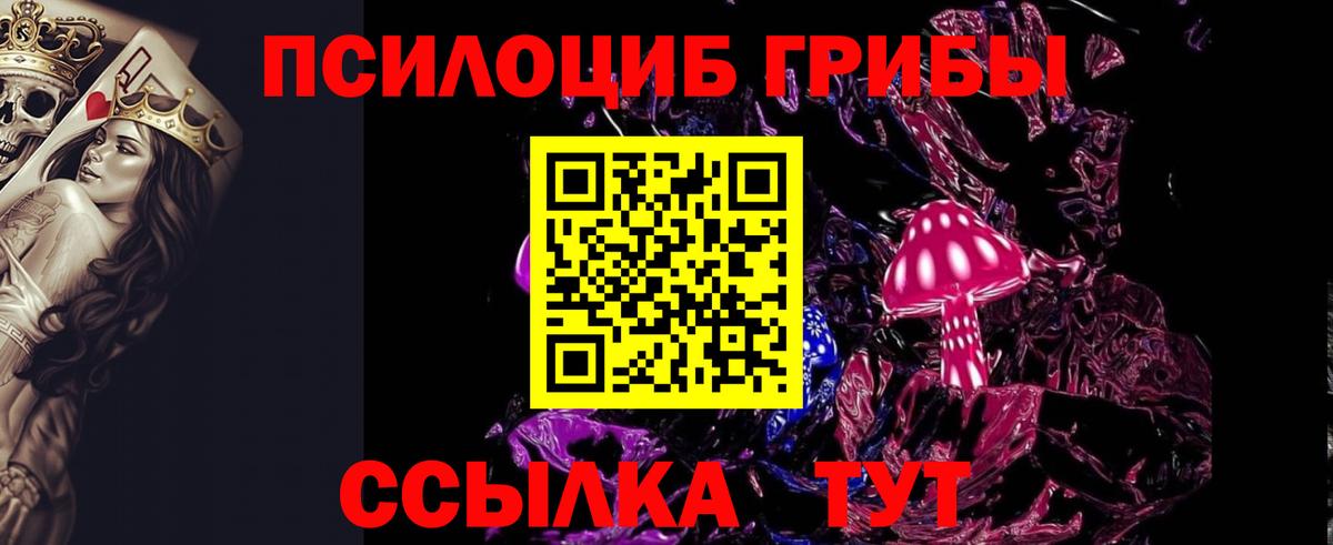 Псилоцибиновые грибы Cubensis  Вход с VPN  Красноуфимск 
