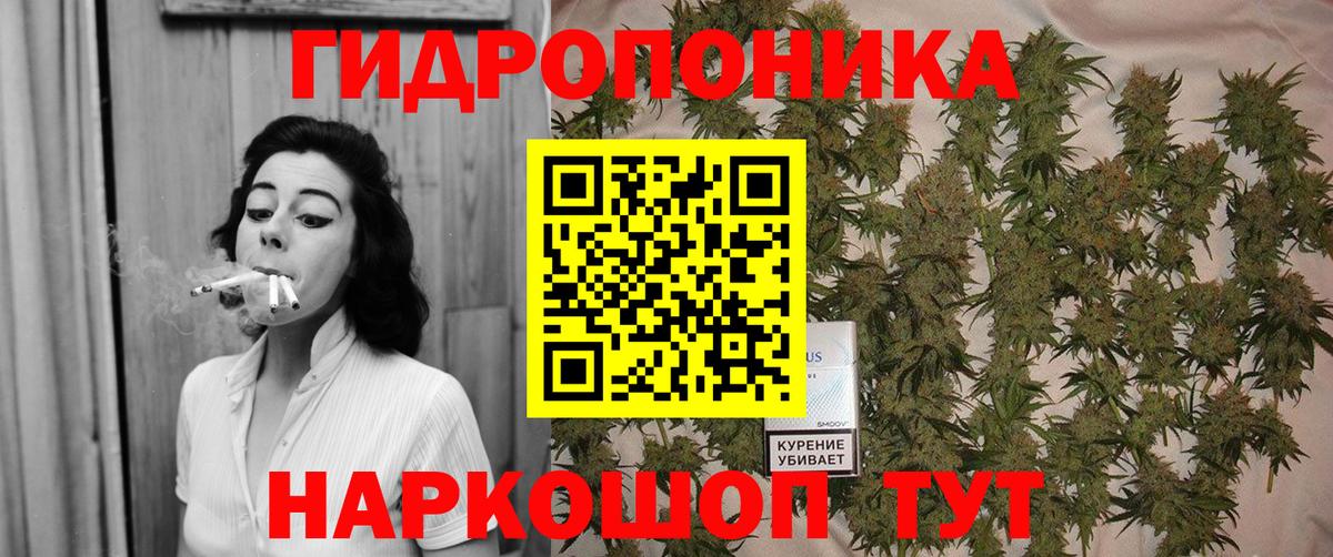 Канабис OG Kush Красноуфимск